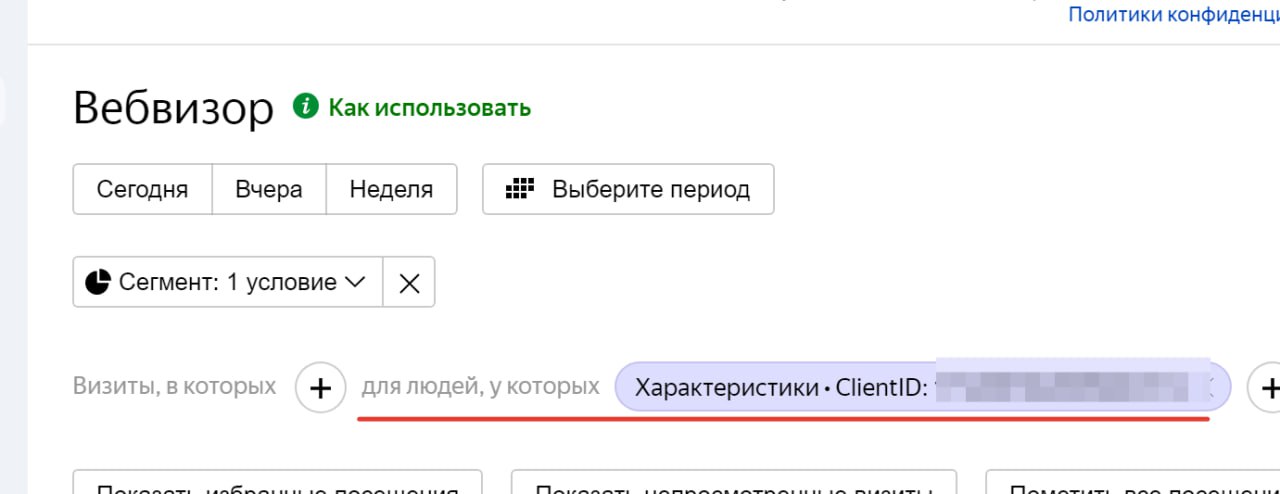Вебвизор Яндекс Метрики: фильтр «для людей, у которых» с условием ClientID
