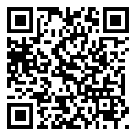 QR-код на MAX-канал